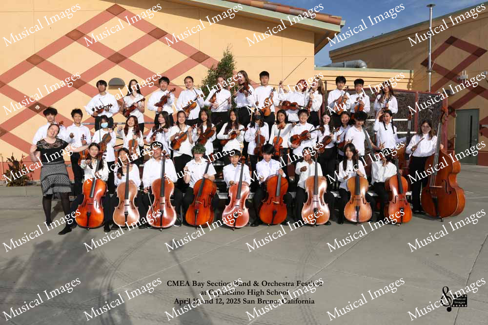 Musical Images